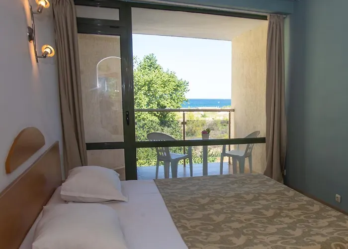 Amfibia Complex サニービーチ